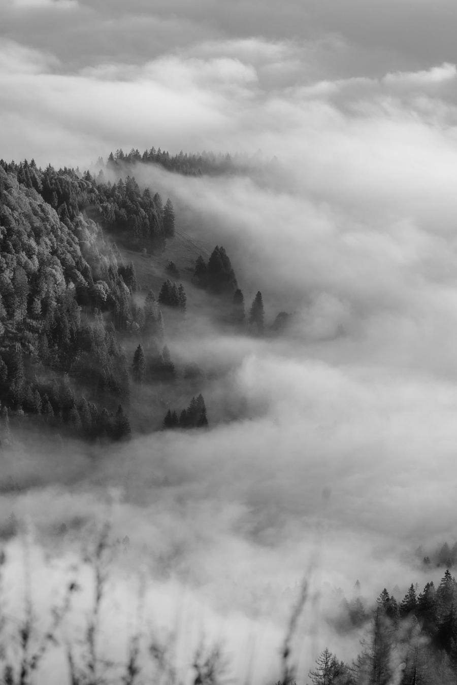 Feldsee unter Nebel