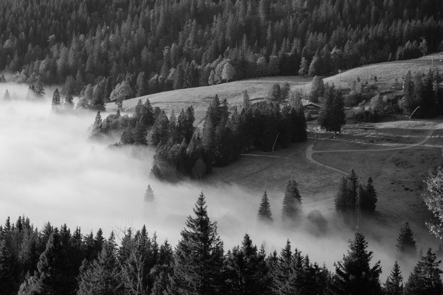 Talnebel unterhalb des Feldbergs